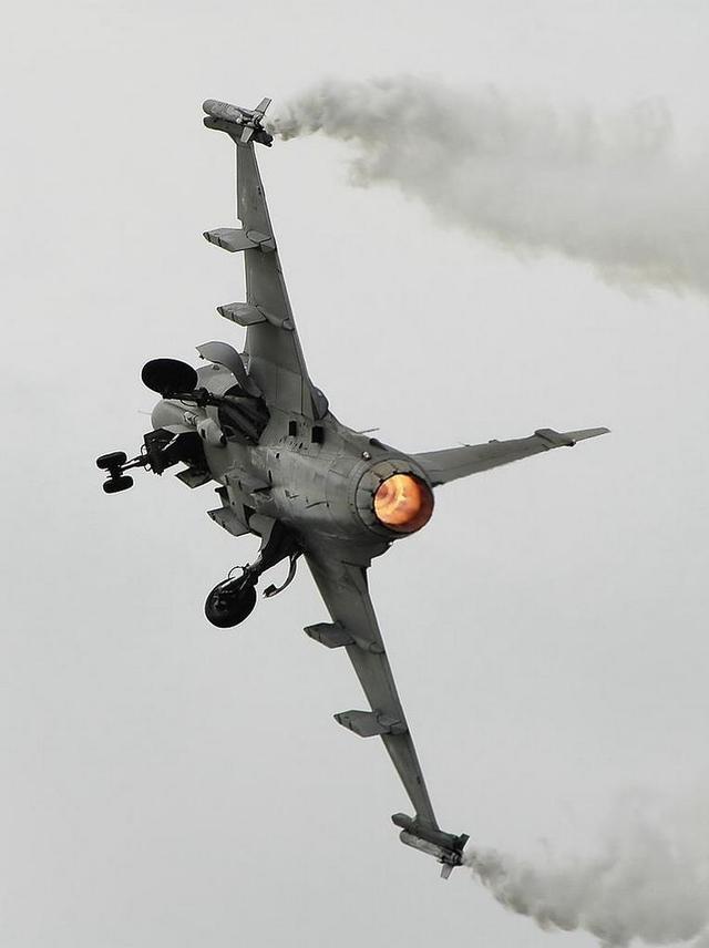 包含逐鹰战狮，拼搏奋力，谁能夺得胜利？的词条