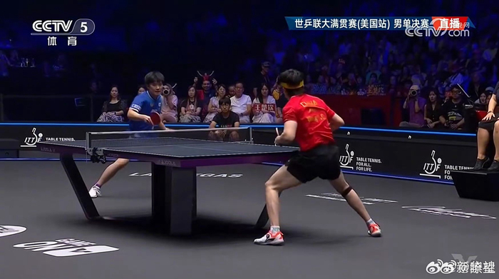 包含比利时乒乓球队横扫韩国乒乓球队，张本智和惊艳世界的词条
