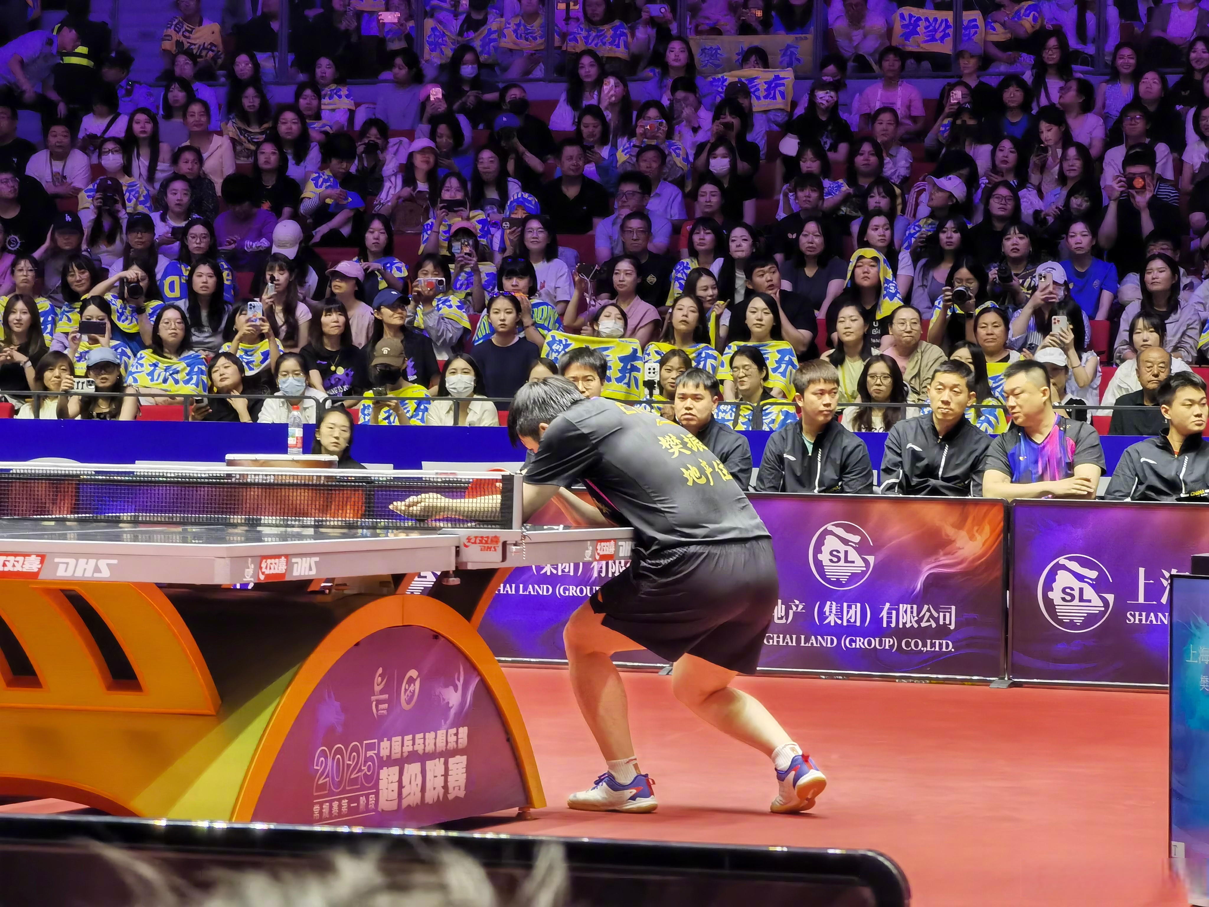 波兰乒乓球队力克奥地利乒乓球队，樊振东制霸全场的简单介绍